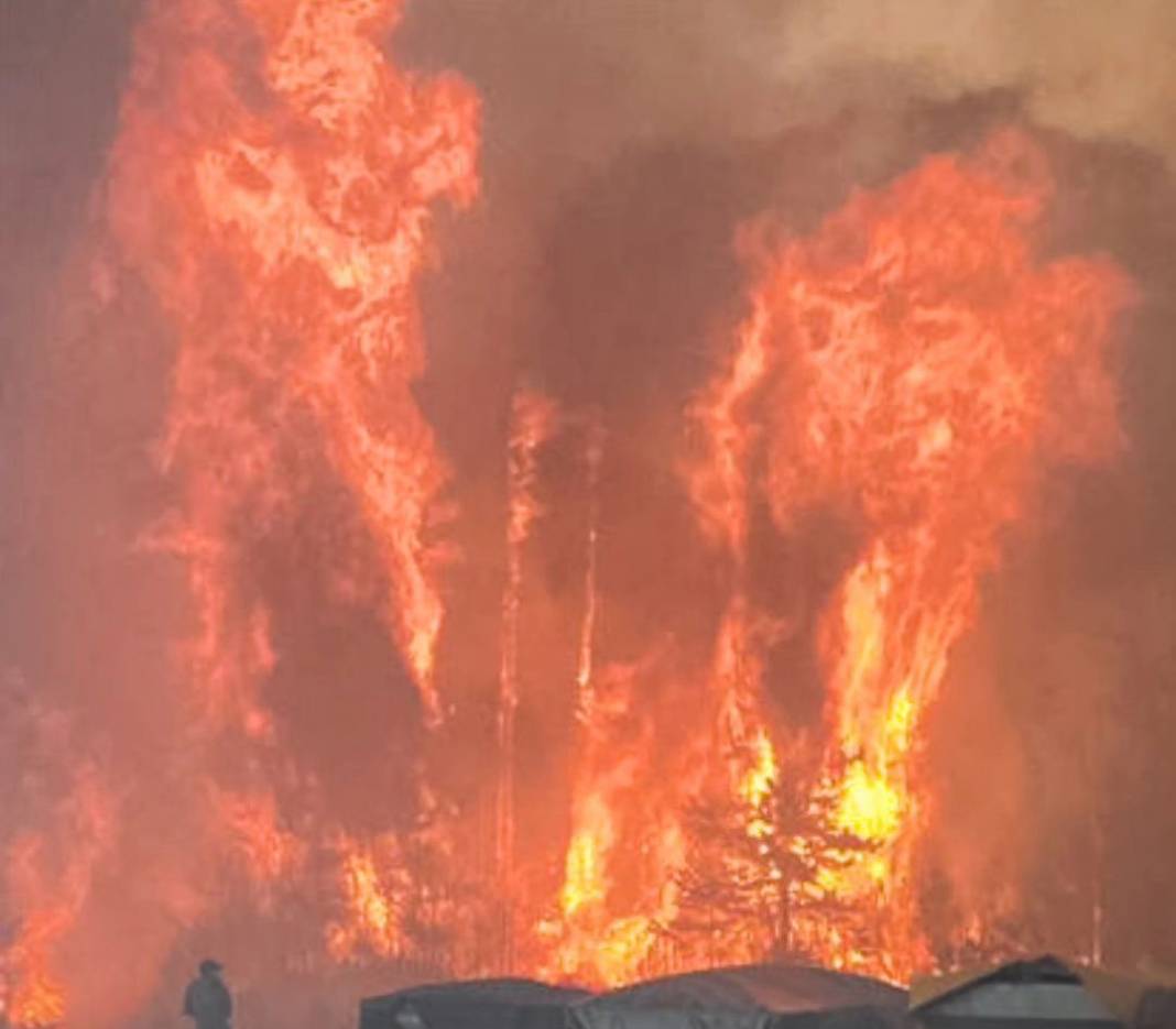 Kanada'da orman yangınları: Dumanlar ABD'ye ulaştı 12